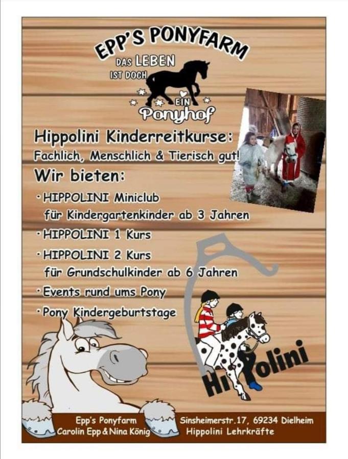 Apartment Kieselsgrund Dielheim 外观 照片