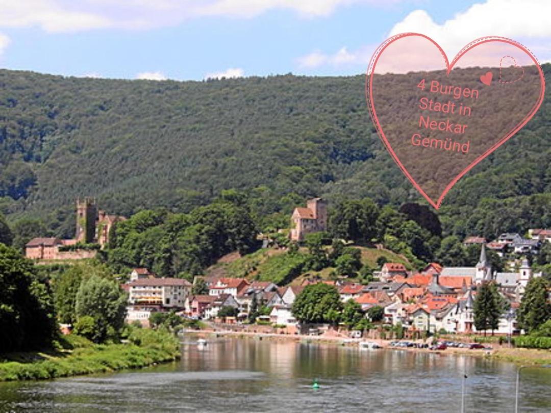 Apartment Kieselsgrund Dielheim 外观 照片